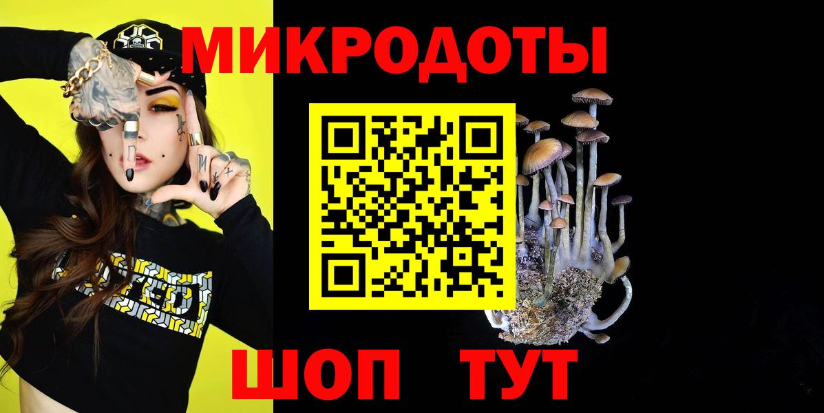 Псилоцибиновые грибы мицелий Смоленск